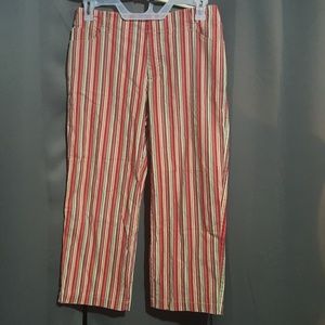 VENEZIA PANTS SZ 14 AMAZING CLASSY
